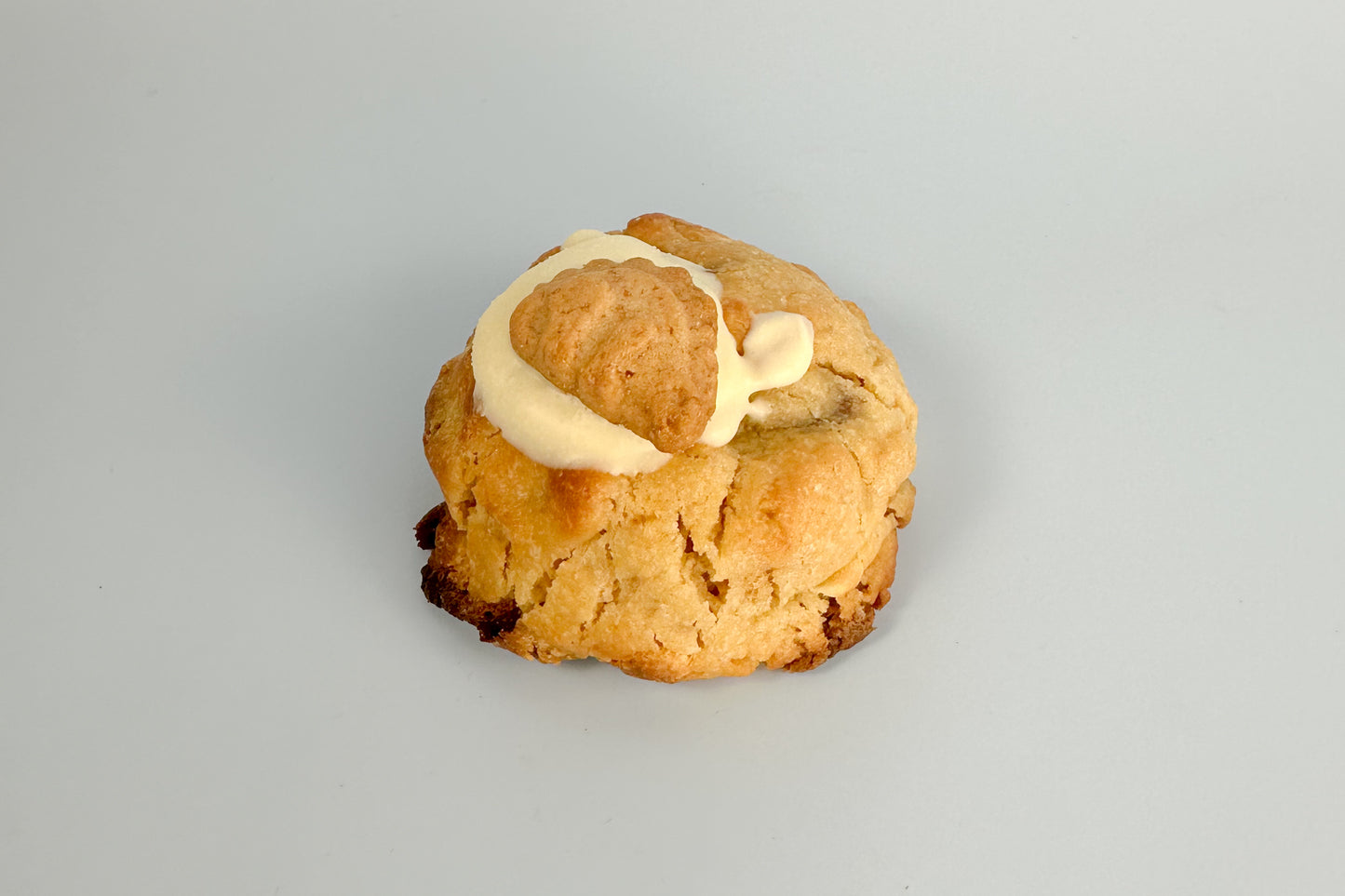Cookie Dinosaurus